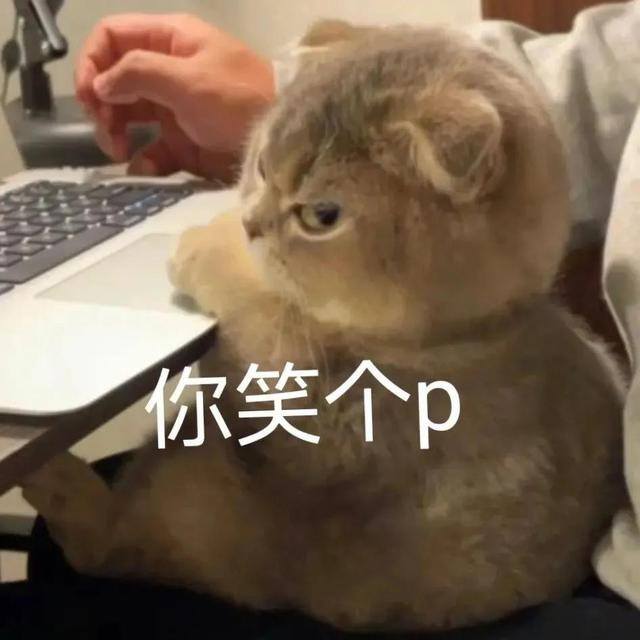 今天不去上班（想念和纪念，不会比我的生命更长久）