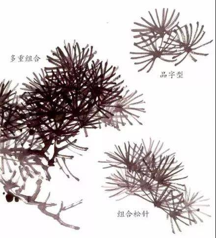 松树怎么画简单又漂亮（松针、马尾松、松枝干、松针的画法）