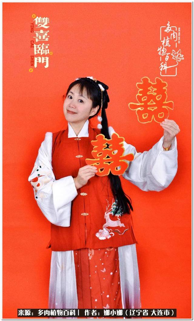 七彩糯糯摆摊挣钱吗（【娜小娜的生活日记】）