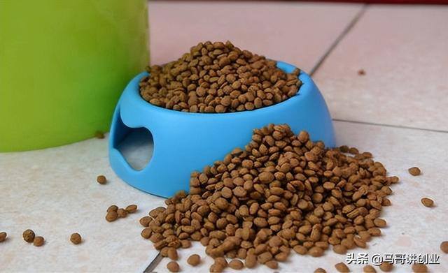 在小县城自己创业干点什么好（小县城办一个塑料袋加工厂有什么好的建议？）