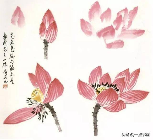 荷花怎么画漂亮又复杂（写意荷花的画法）