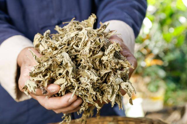 种什么药材省事又赚钱（农村种植什么药材比较赚钱）