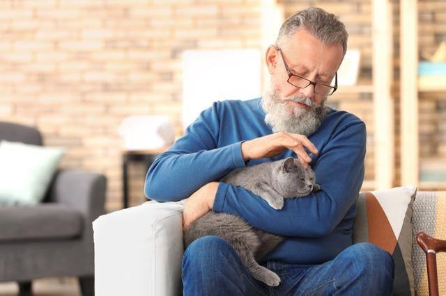 养猫好吗（养猫有这7大好处！不瞒你说，这是有科学依据的，别不信！）