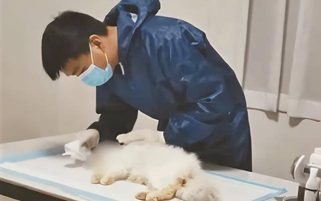 在家做什么可以赚钱适合在家做的工作（网络哄睡师行业兴起，月收入超3万元）