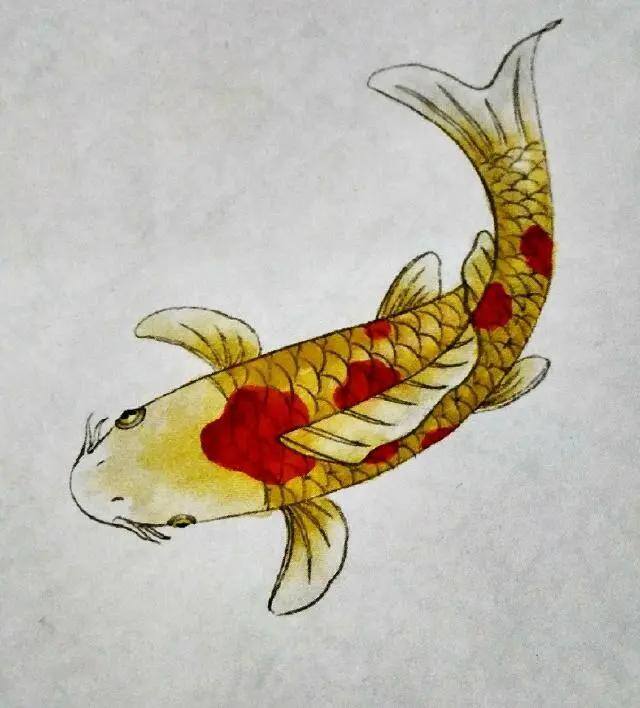 水墨画怎么画简单又漂亮（锦鲤鱼的画法）