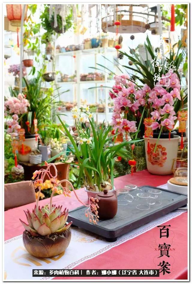 七彩糯糯摆摊挣钱吗（【娜小娜的生活日记】）