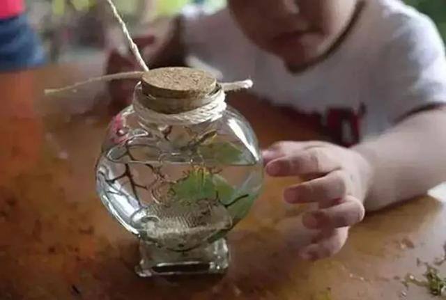 投资小利润高的生意（胜洋水草休闲农场——水草养殖、餐饮、diy）