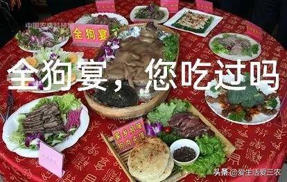 养狗挣钱吗（农村养殖肉狗挣钱吗？）