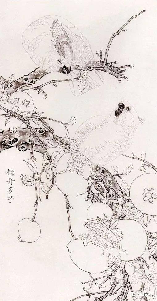 石榴怎么画简单又好看（工笔石榴《榴开多子》画法步骤）