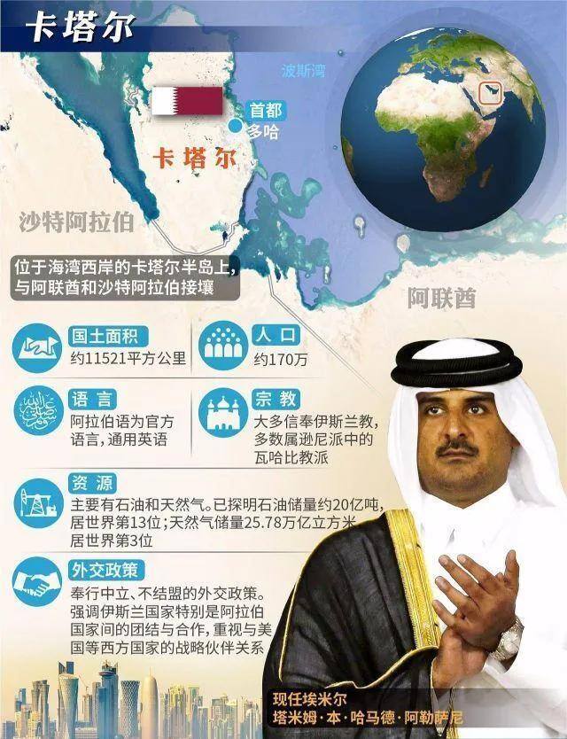 去瑞士打工一年能挣多少钱（卡塔尔王室有多壕？）