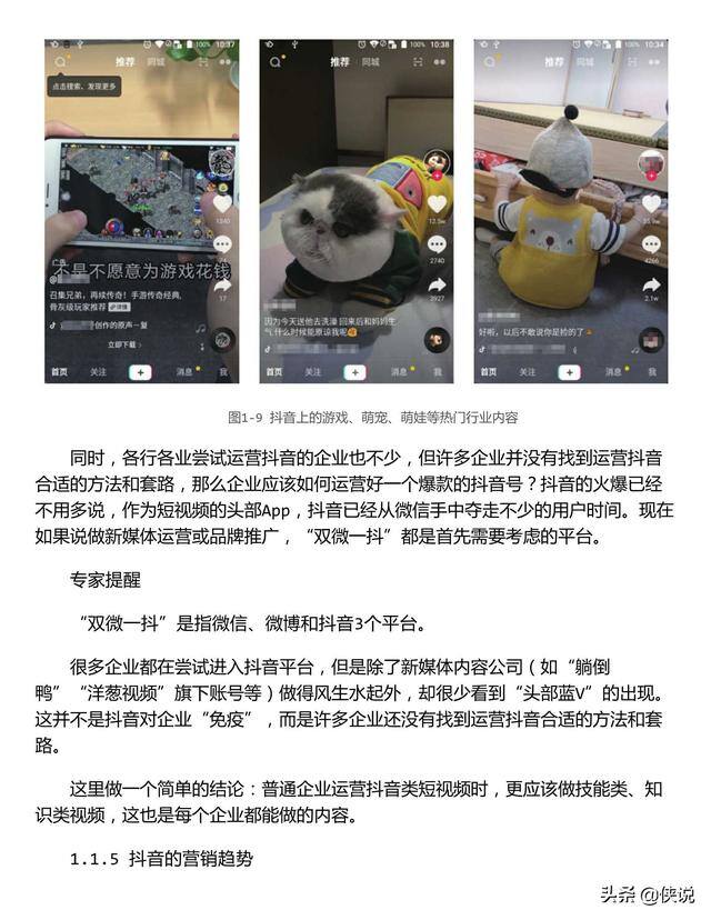 侠玩赚（杨飞：抖音短视频相关电子书）