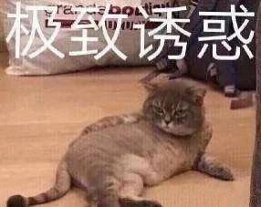 帮人打字赚钱的软件（打字员兼职赚钱？别被骗了！）