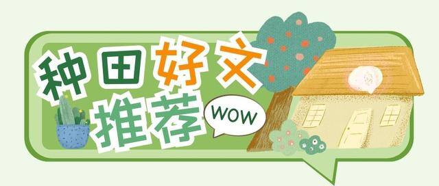 我靠种田发家致富（五本种田甜文推荐：觉醒世界的海洋都是我的？）