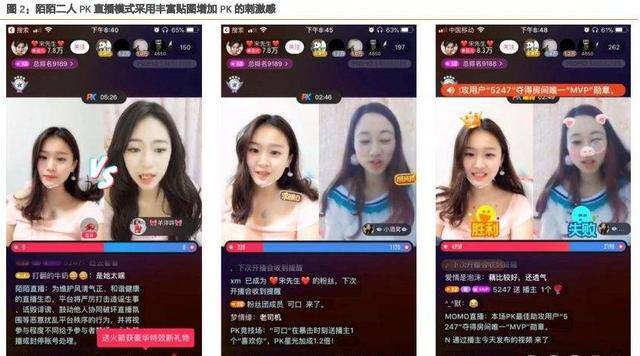 网红是如何赚钱的（“网红们”的收入结构）
