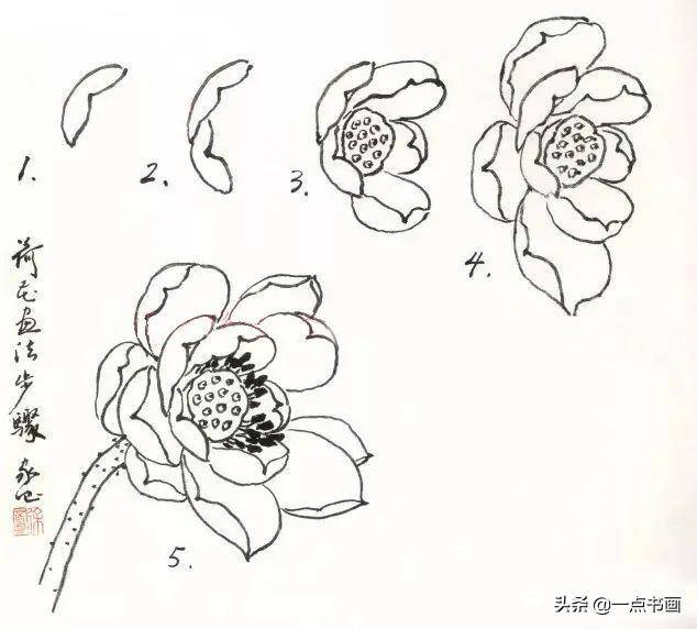 荷花怎么画漂亮又复杂（写意荷花的画法）