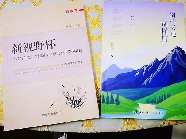 手机挣钱快的路子（柳公作品欣赏）