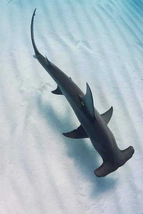 如何画画好看又简单易学（自学画画1年心得体会）