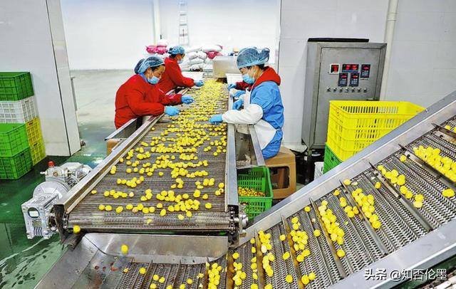国家扶持农村办厂有哪些项目（在农村办这3个小型加工厂，不仅“吃香”，投资小，还回本快）