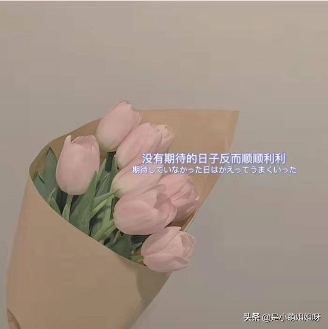 写稿赚钱的平台有哪些（聊斋志异：如何找到适合自己的素材）