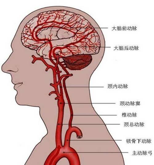 头疗店挣钱吗（头疗与头疗并举，重脚更重头，岂不更好！）