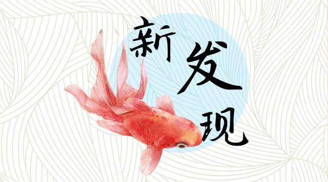 微信表情包怎么保存到相册（如何把微信表情保存到手机？）
