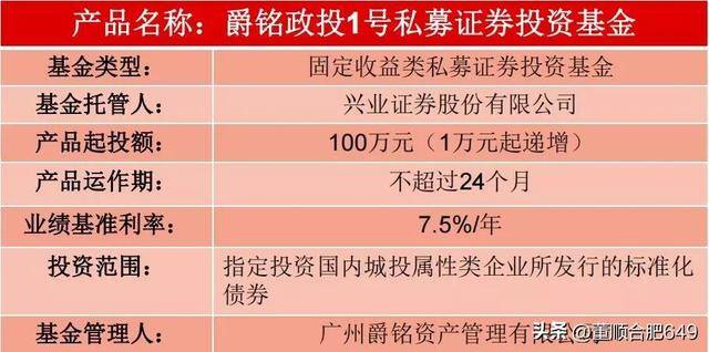 100万投资什么项目最稳定（增额终身寿和城投债的区别在哪里？）
