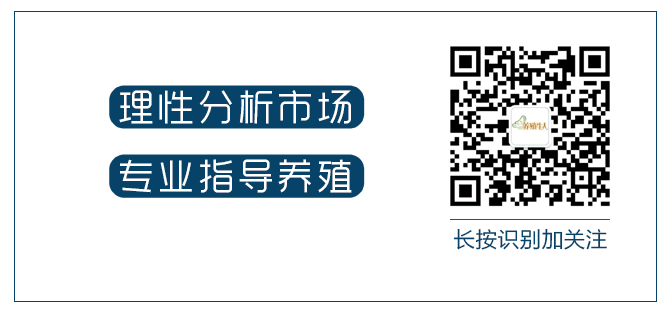浙江女孩养殖蟾蜍致富（青蛙市场价格暴跌）