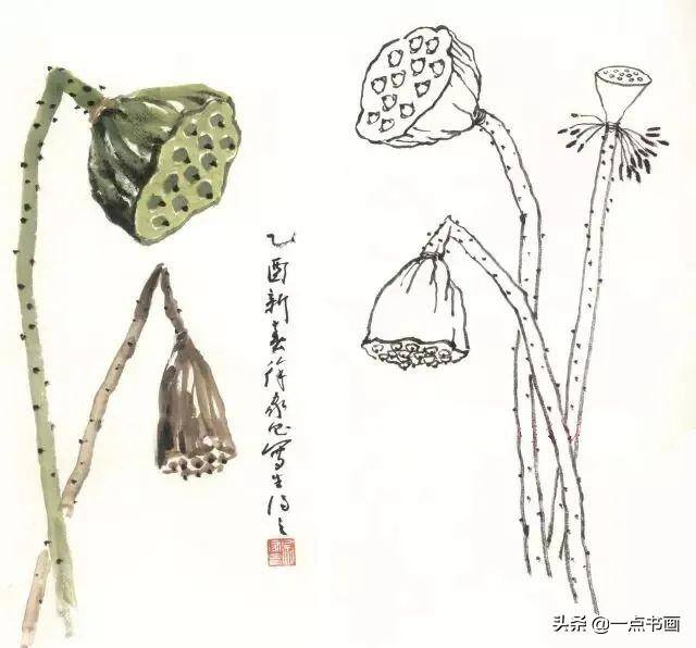 荷花怎么画漂亮又复杂（写意荷花的画法）