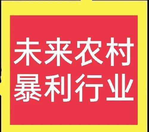 未来五年农村最赚钱的行业（未来农村最赚钱的行业大分享）