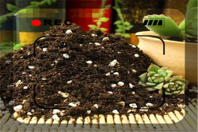 小型投资办厂（3—5万元的投资，目前可以开办什么样的加工厂？）