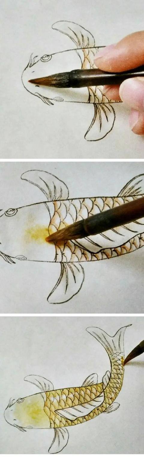水墨画怎么画简单又漂亮（锦鲤鱼的画法）