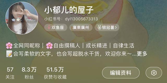 小红书流量怎么赚钱（自媒体运营之小红书）