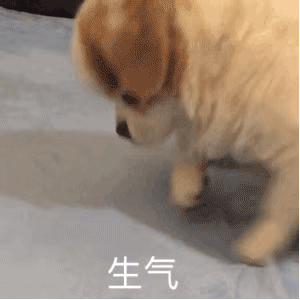 今天不去上班（想念和纪念，不会比我的生命更长久）