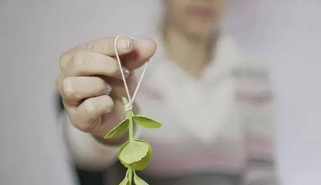 废物利用手工制作简单（废旧的灯泡也能养花？教你一招，让家里变得更美！）