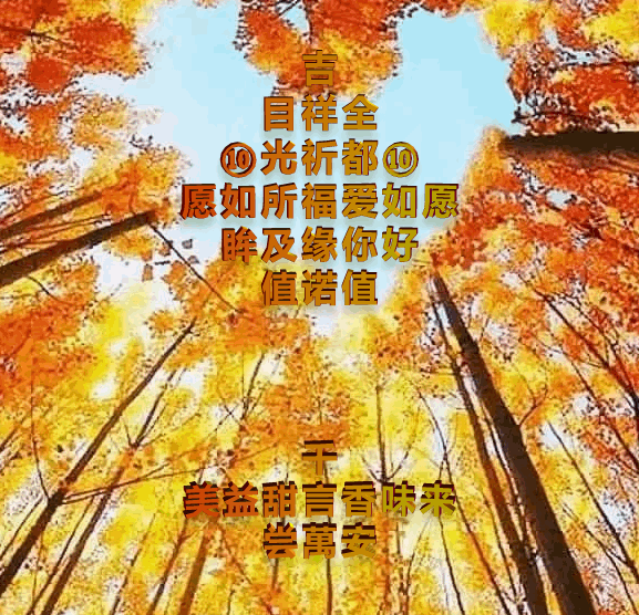 发财壁纸高清全屏2022（天涯共享虎神福，相亲相爱你好吉祥如意！）