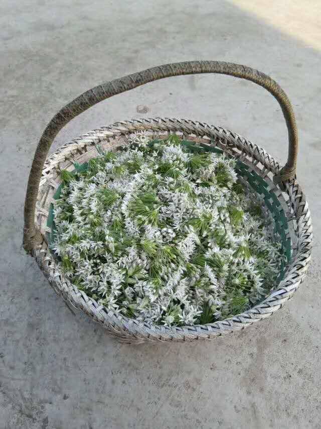 韭菜花怎样制作好吃（韭菜花酱的做法）