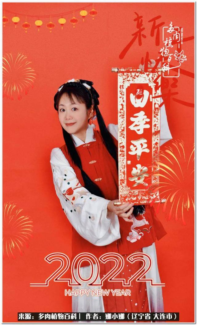 七彩糯糯摆摊挣钱吗（【娜小娜的生活日记】）