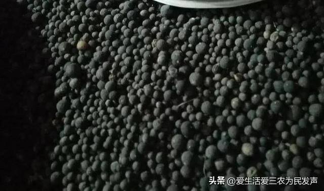 农村有什么好的创业项目见效快（出口枳实项目）