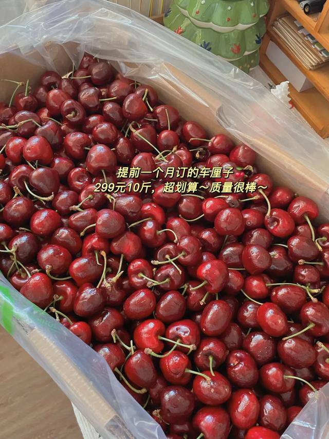 宅在家里干点什么能挣钱（在广州生活的感受）
