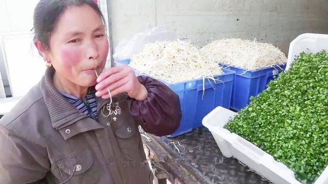 新发明致富小机器（“豆芽大王”发明豆芽机，1台机器日产4万斤）