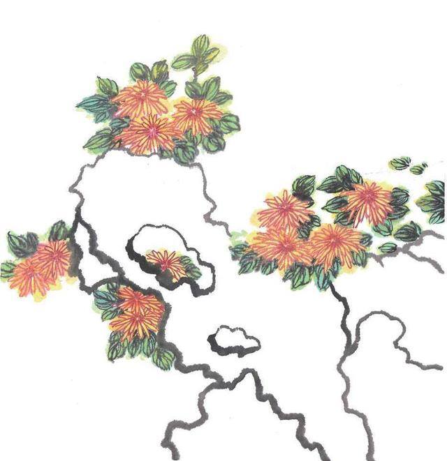 绘画技法教程（菊花的绘画技法）