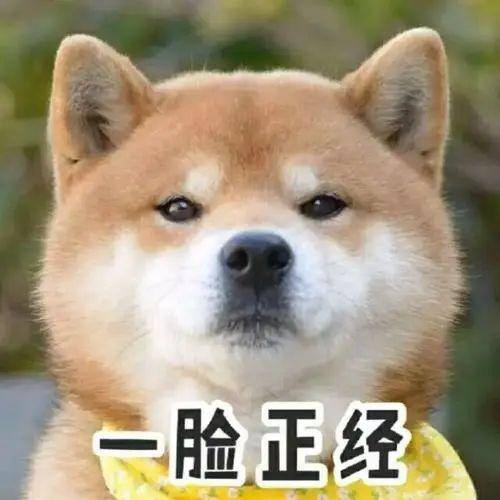 帮人打字赚钱的软件（打字员兼职赚钱？别被骗了！）