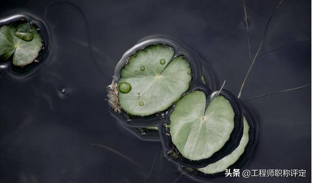 打工是什么职业（职称和职业资格傻傻分不清楚？看完这篇文章你就明白了）