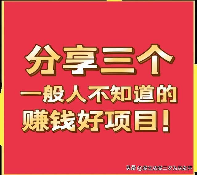 农村有什么好的创业项目见效快（出口枳实项目）