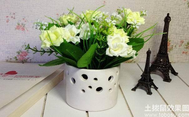 假花放家里有什么风水影响（客厅假花装饰品布置，客厅假花风水禁忌）