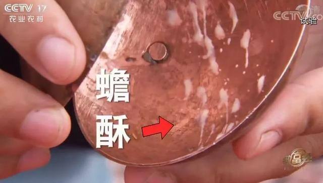 浙江女孩养殖蟾蜍致富（青蛙市场价格暴跌）