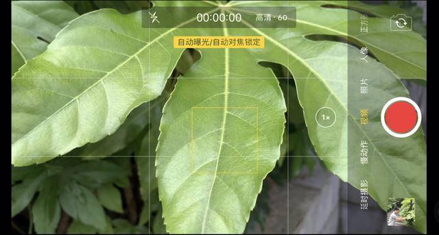 短视频怎么拍（手机拍摄视频转场技巧）