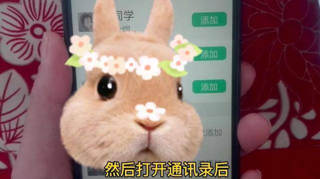 微信怎么加（微信如何添加好友）
