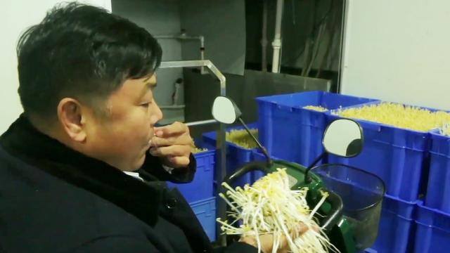 新发明致富小机器（“豆芽大王”发明豆芽机，1台机器日产4万斤）