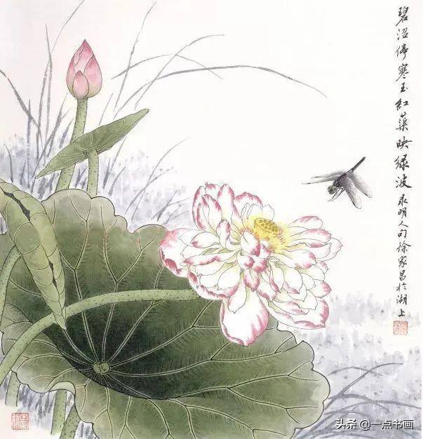 荷花怎么画漂亮又复杂（写意荷花的画法）